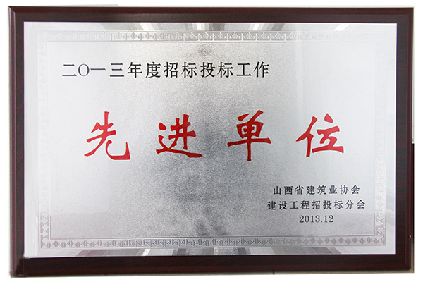 2013年招投標(biāo)先進(jìn)單位
